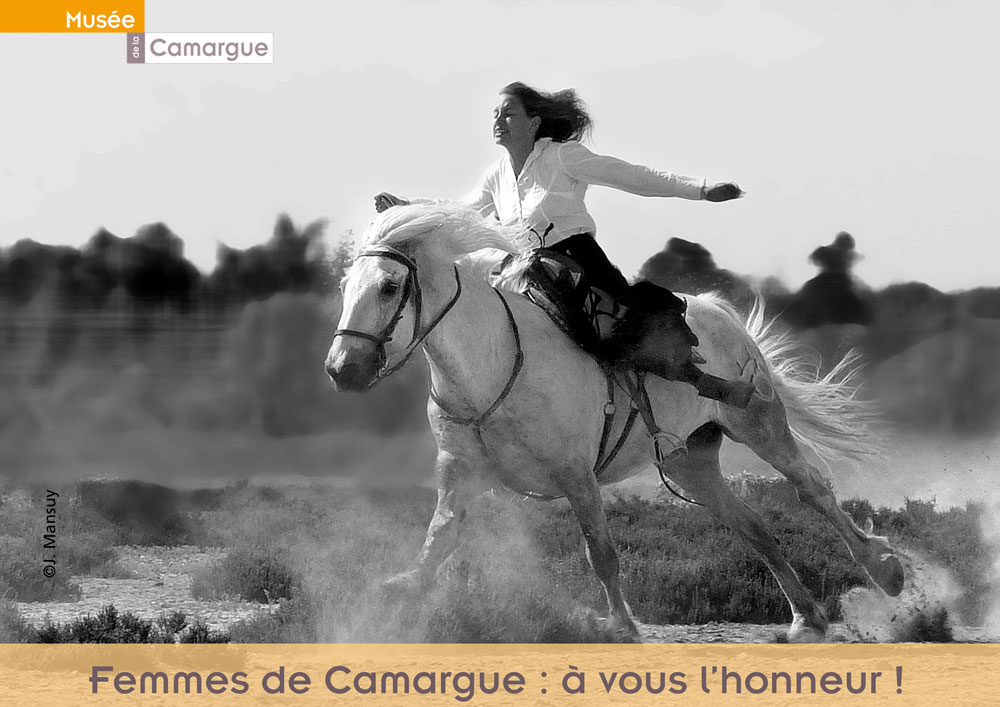 Visuel projet site KKBB web