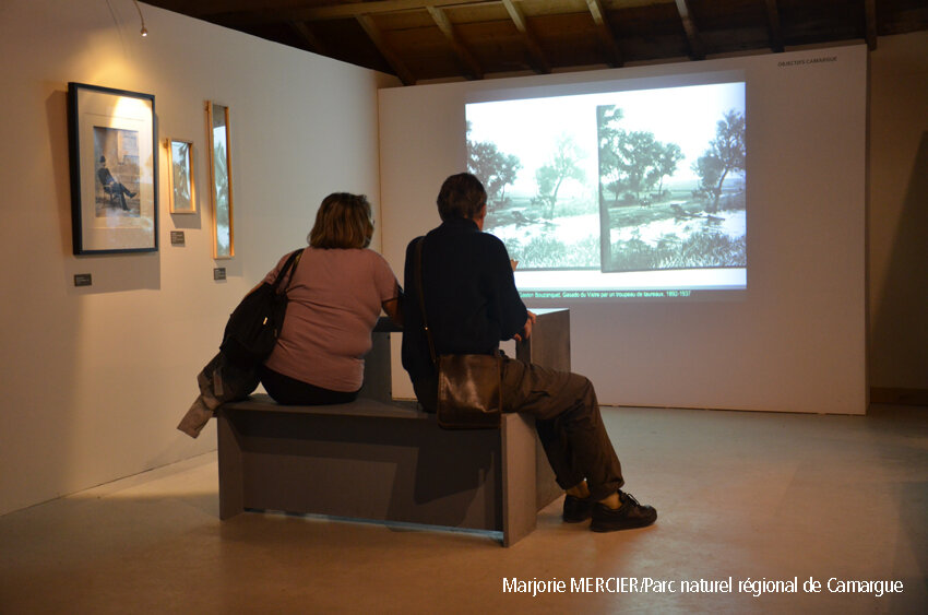 m.mercier pnrc nouveau musee de la camargue 58