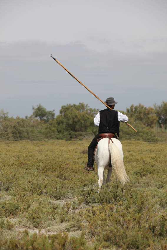 photos CAMARGUE J et G VLASSIS rdt